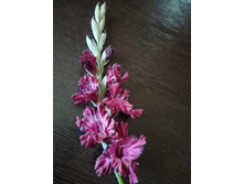 � 12-36=29 (�����)