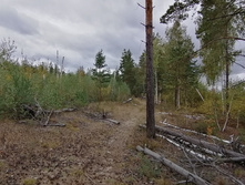 IMG 20200918 143653.jpg