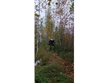 IMG 20200919 115318.jpg