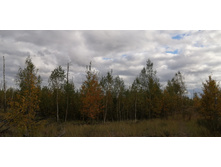 IMG 20200914 153030.jpg