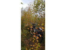 IMG 20200919 115929.jpg