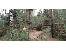 IMG 20200918 120731.jpg