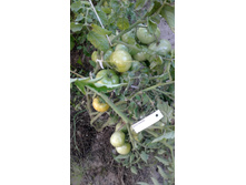 ��������� ������