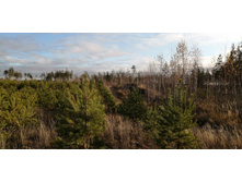 IMG 20201029 135939.jpg