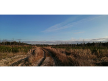 IMG 20201029 133954.jpg