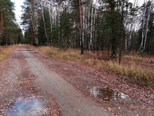 IMG 20201024 131247.jpg