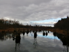 IMG 20201025 125125.jpg