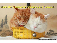 � �������� �������� �� ��������� �������