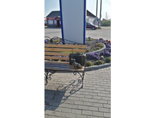2020-10-03 10-23-33.jpg