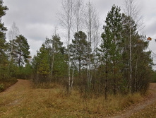 IMG 20201017 122736.jpg