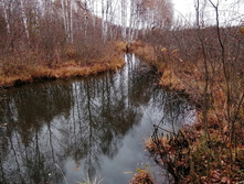 IMG 20201024 105318.jpg