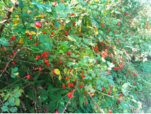 20200927 � ������� � � ��������� 114705.jpg