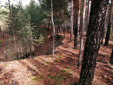 IMG 20201024 115352.jpg