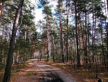 IMG 20201025 132717.jpg