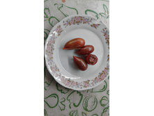 ������� ������� ��������