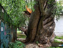 1d43e89f3c287b49d15db427fb2aeb5d61460479 727.jpg