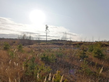 IMG 20201029 134607.jpg