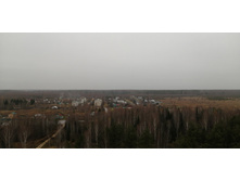 IMG 20201031 105237.jpg