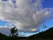 IMG 20201025 131958.jpg