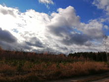 IMG 20201024 125926.jpg