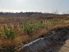 IMG 20201029 130702.jpg