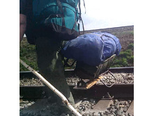 ������ ��� ������