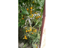 ������ ��� F5