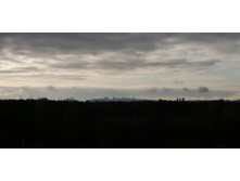 IMG 20201017 080902.jpg