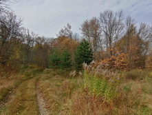 IMG 20201010 122101.jpg