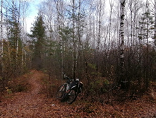 IMG 20201024 102656.jpg