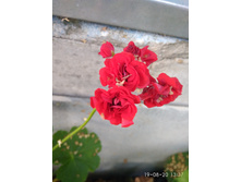 ���������� ���������� ������� IMG 20200819 133744.jpg