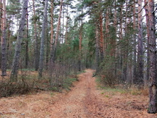 IMG 20201025 115110.jpg