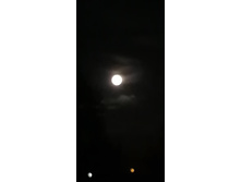 IMG 20201001 191947.jpg