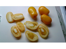 ������ �������� ������