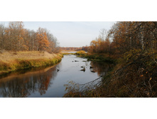 IMG 20201011 110537.jpg