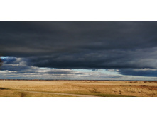 IMG 20201025 135819.jpg