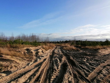 IMG 20201029 134347.jpg