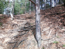 IMG 20201010 131119.jpg