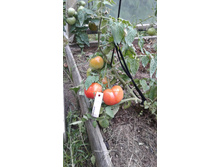 ��������� �� �������