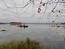 IMG 20201017 101302.jpg