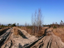 IMG 20201029 134227.jpg