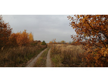 IMG 20201010 143406.jpg