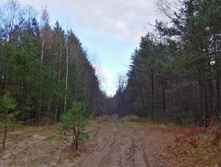 IMG 20201025 130406.jpg