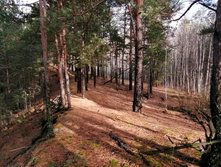 IMG 20201024 115513.jpg