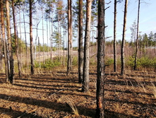 IMG 20201029 140930.jpg