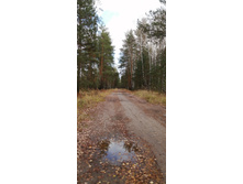 IMG 20201024 131457.jpg