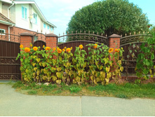 20200913 5 ������� 111126.jpg