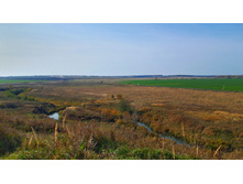 2020-10-03 12-01-09.jpg