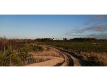 IMG 20201029 140201.jpg