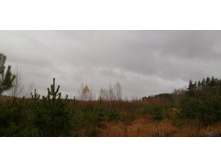 IMG 20201024 113026.jpg